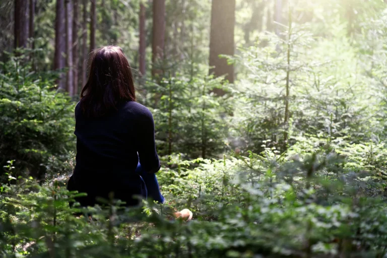 Selbstwirksam Sein Dein Natur Retreat