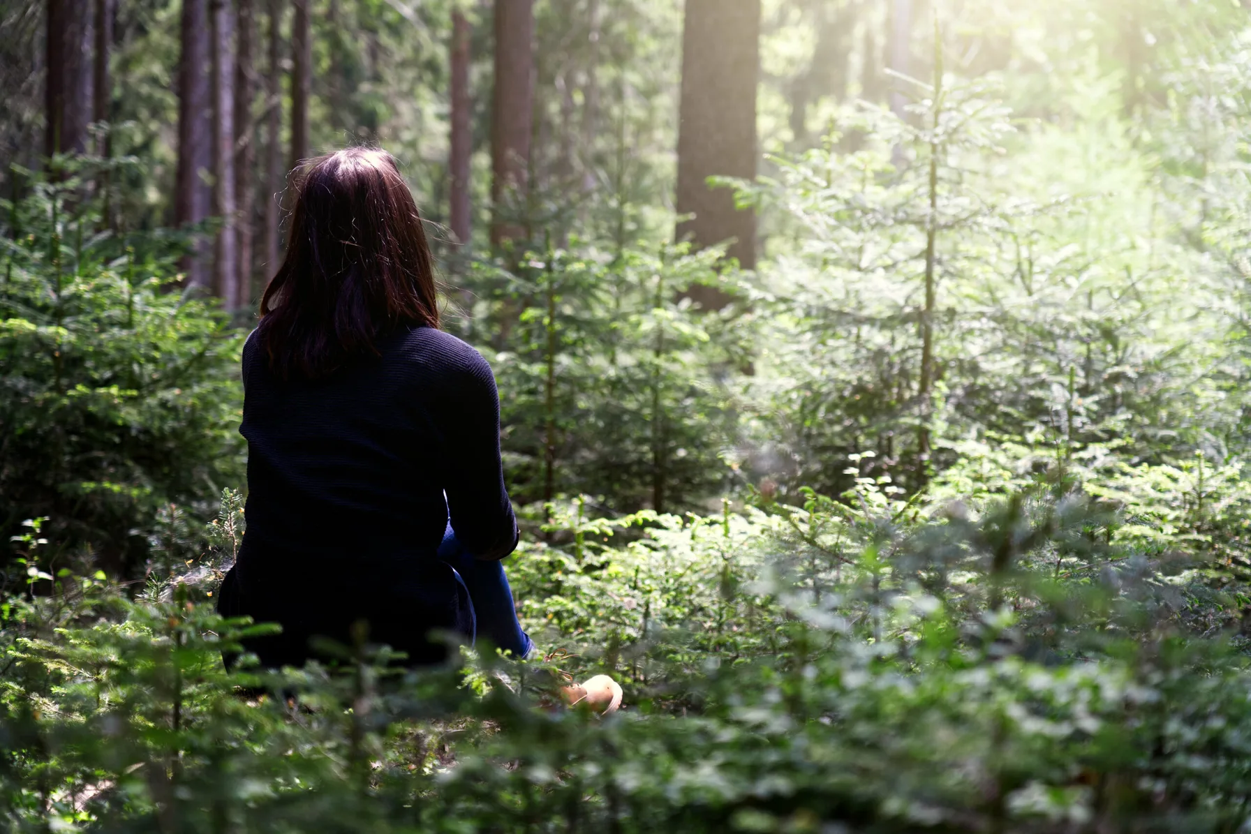 Selbstwirksam Sein Dein Natur Retreat
